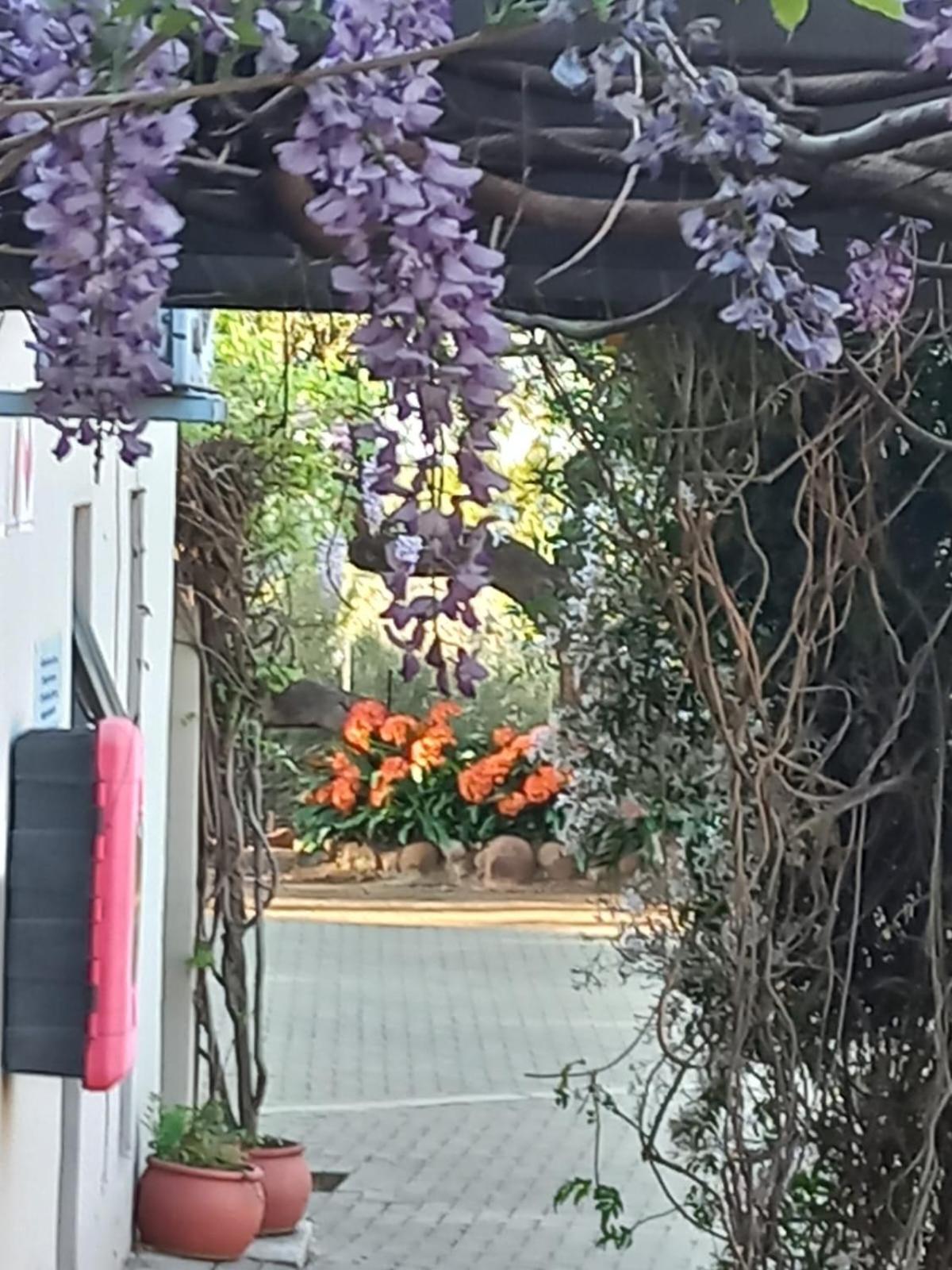 A Little Guesthouse Bloemfontein Exterior foto